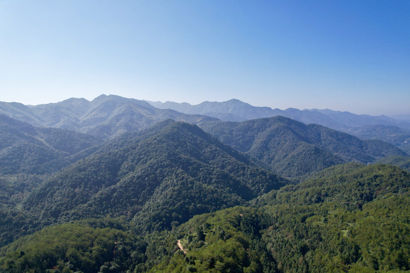 1650855965797206.png 圖片2.png